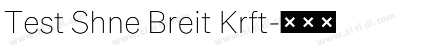 Test Shne Breit Krft字体转换